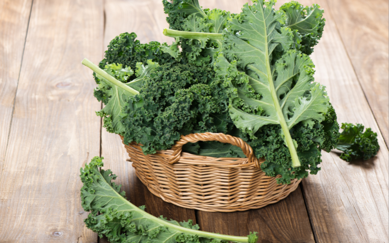 Cải xoăn (Kale) giàu lutein và chất xơ dồi dào