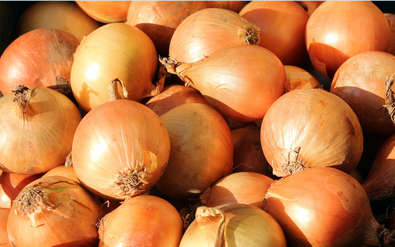 Hành tây chứa quercetin giảm nguy cơ hình thành mảng xơ vữa động mạch