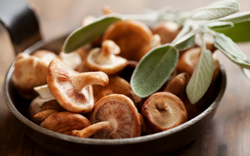 Nấm hương hỗ trợ hệ miễn dịch và kiểm soát lipid máu hiệu quả