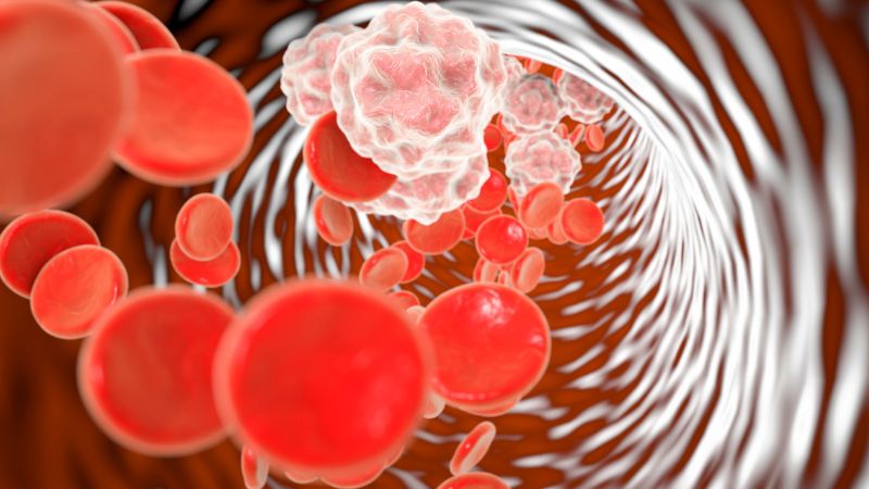 Triglyceride là một loại chất béo trung tính lưu thông trong máu