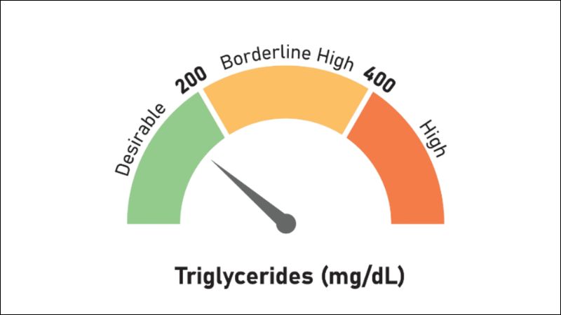 Các chỉ số Triglyceride