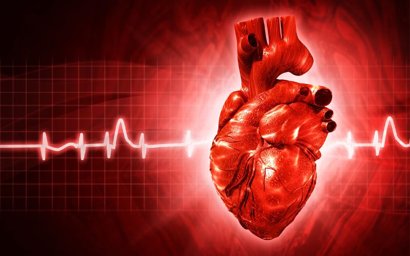 Rối loạn nhịp tim là một trong những biến chứng gây ra do bệnh mạch vành