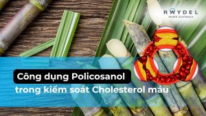Công dụng Policosanol trong kiểm soát Cholesterol máu