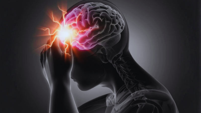 Đột quỵ là tình trạng não bộ bị tổn thương do dòng máu lên não bị tắc nghẽn