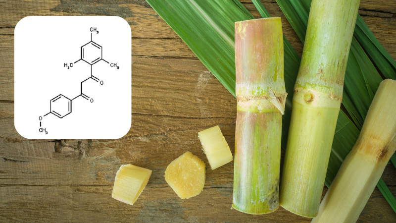 Policosanol GDL-5 chủ yếu trong sáp của mía, sáp ong, cám gạo,...