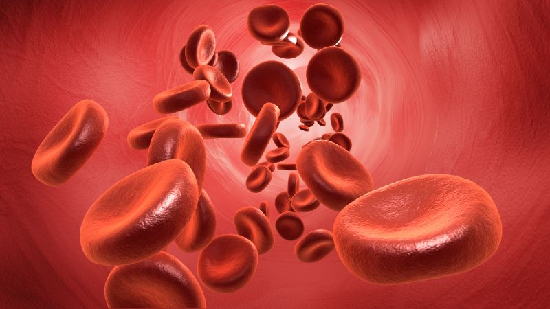 Policosanol từ sáp mía Cuba giúp cải thiện các chỉ số LDL, HDL và triglycerid