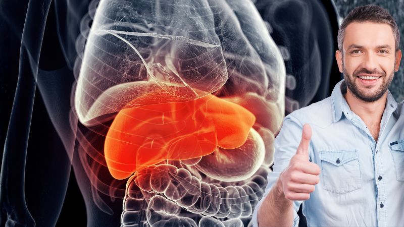 Không gây tổn thương gan khi sử dụng lâu dài