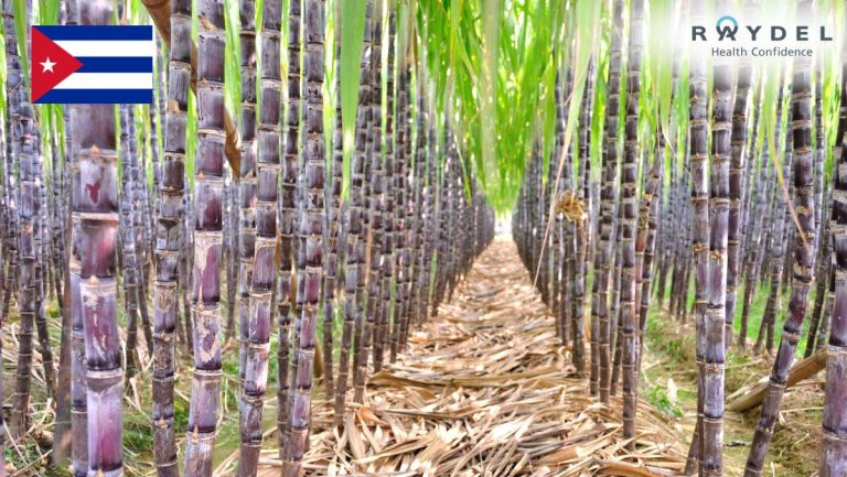 Policosanol từ sáp mía Cuba có gì đặt biệt?